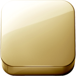 Polished Brass Organic (.03)