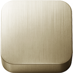 Brushed Swiss Brass PVD (.45)