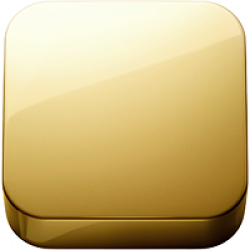 Polished Gold PVD (.48)
