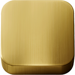 Brushed Gold PVD (.49)