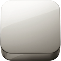 Polished Nickel PVD (.40)