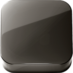 Bright Black PVD (.66)