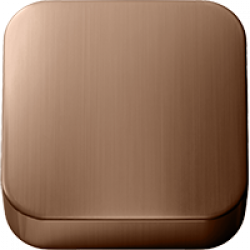 Brushed Rose Gold PVD (.51)