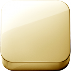 Polished Nordic Brass PVD (.46)