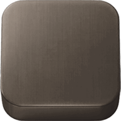 Statue Bronze PVD (.61)