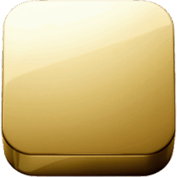 Polished Gold PVD (.48)