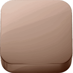 Polished Rose Gold PVD (.50)