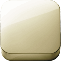 Polished Swiss Brass PVD (.44)