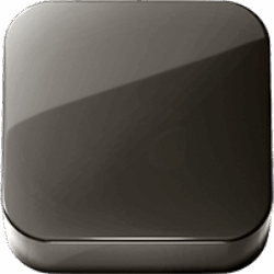 Bright Black PVD (.66)