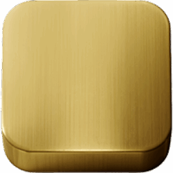 Brushed Gold PVD (.49)